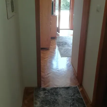 Vila Zoran Ζλάτιμπορ Εξωτερικό φωτογραφία