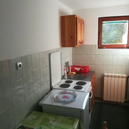Vila Zoran Ζλάτιμπορ Εξωτερικό φωτογραφία